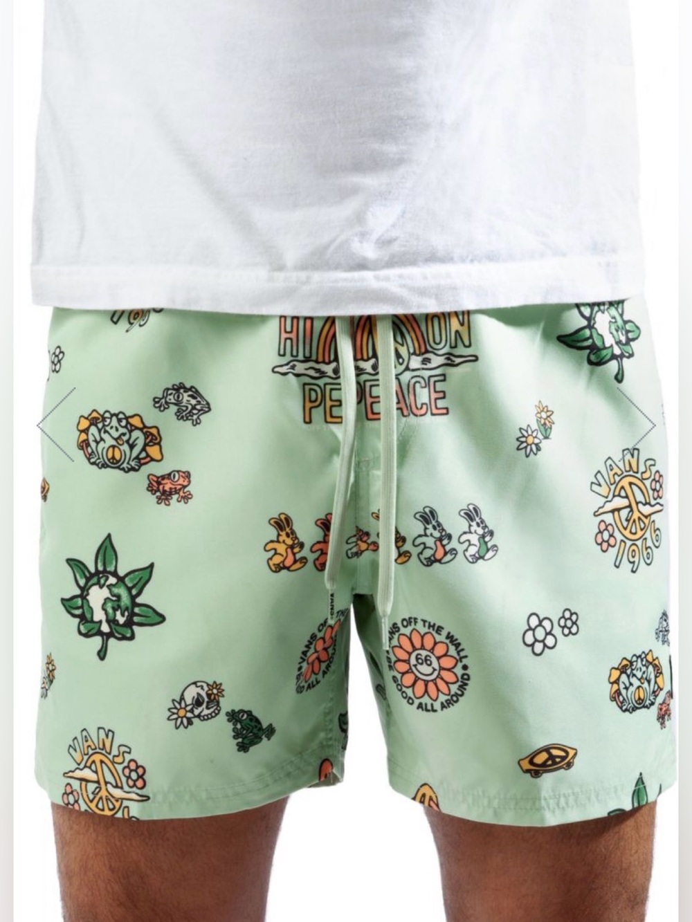 Vans Men's Mixed Peace Of Mind Skateboard Streetwear Volley Shorts